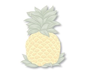 shaped sticky notes - "pineapple"