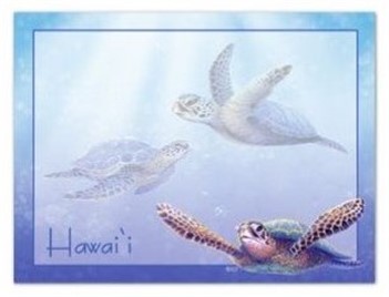 sticky notes - "sea turtles hawaii"