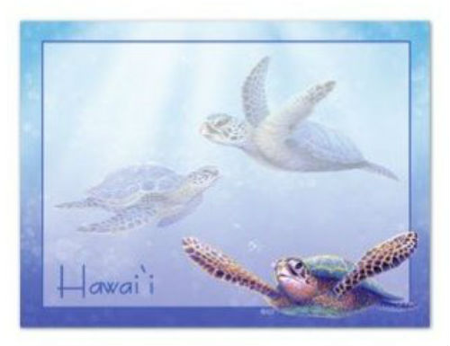 sticky notes - "sea turtles hawaii"