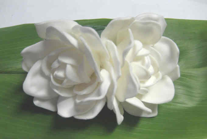 "double gardenia clip"