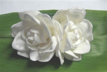 "double gardenia clip"