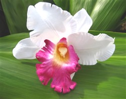 cattleya orchid clip - "white with purple"