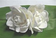 "double gardenia clip"