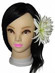 "spider lily clip"