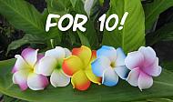"curly plumeria" (set of 10)